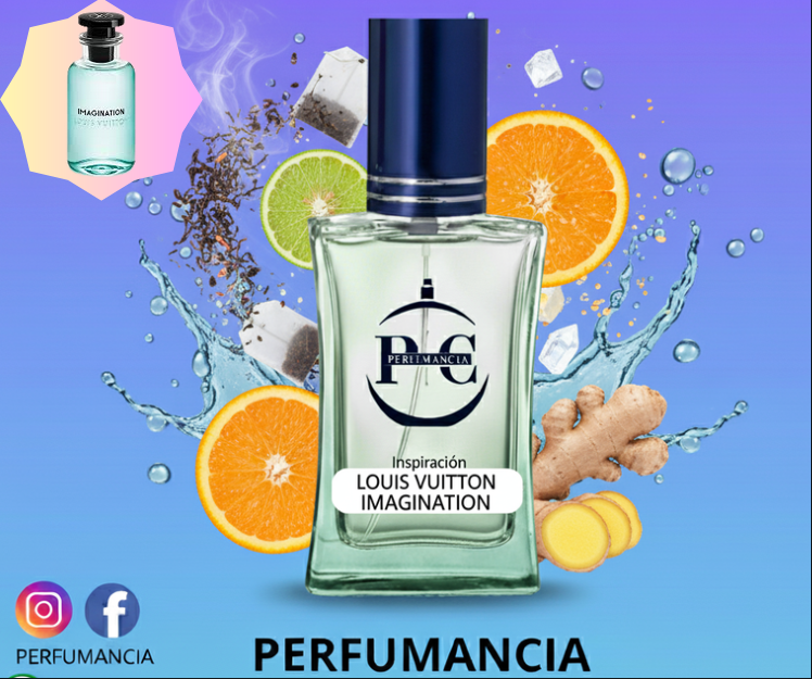 PFH193-IMAGINATION-LOUIS VUITTON-CABALLERO