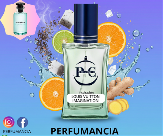 PFH193-IMAGINATION-LOUIS VUITTON-CABALLERO